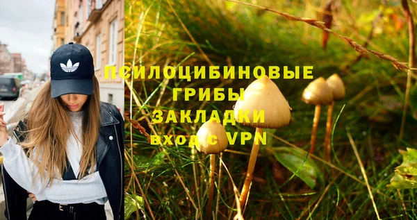 эйфоретик Медвежьегорск