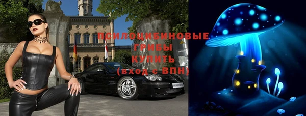 PSILOCYBIN Медногорск