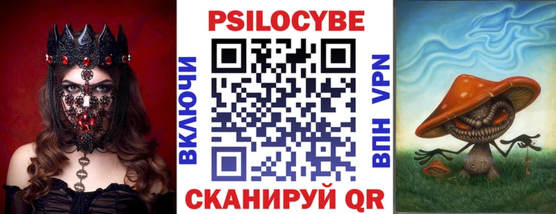 даркнет Telegram  Новосиль  Псилоцибиновые грибы Cubensis 
